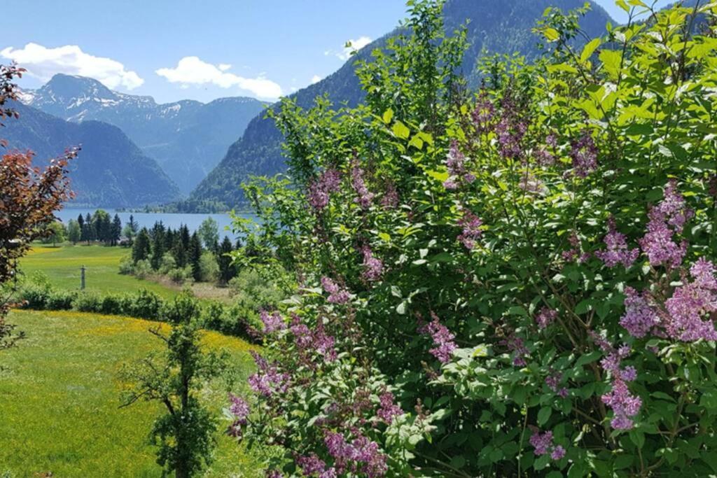 Ferienhaus Kopriwa Bad Goisern Exteriér fotografie